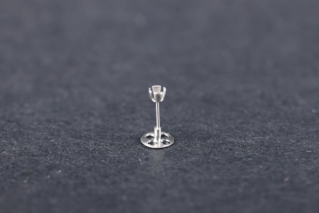 Tita - Prosthesis type Partial Vario Campana (PORP)