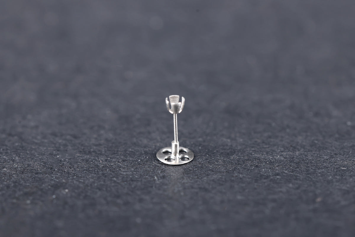 Tita - Prosthesis type Partial Vario Campana (PORP)