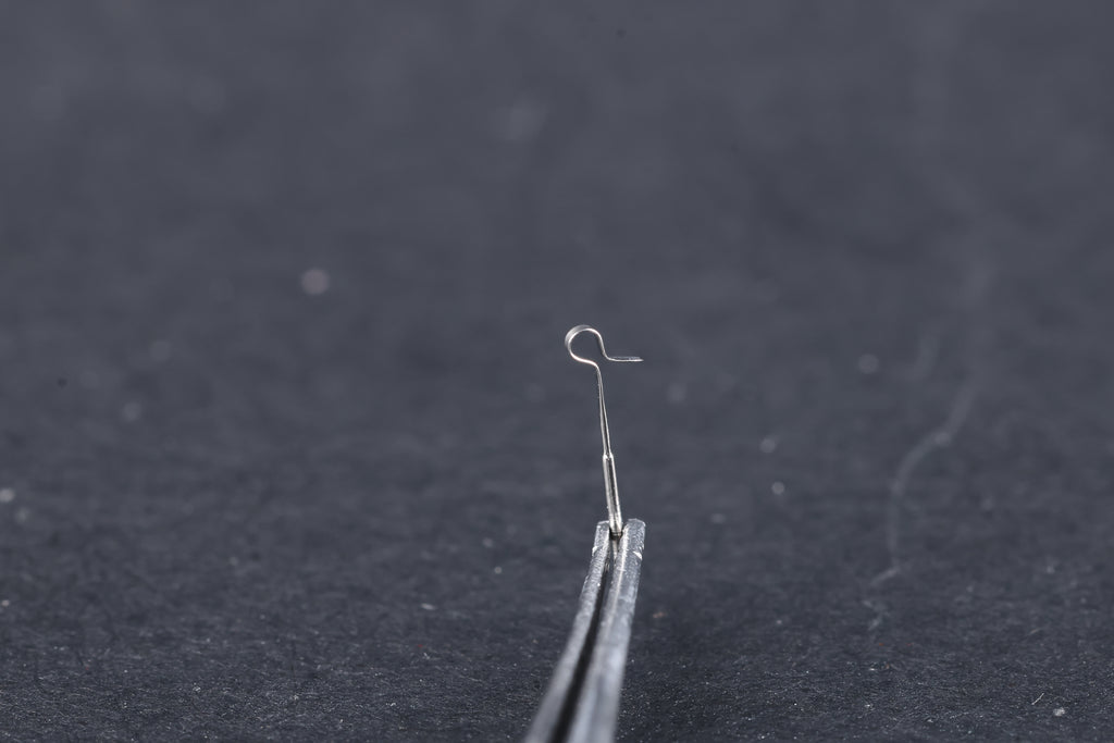 Tita-prosthesis Piston type Loop (PISTON)