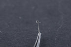 Tita-prosthesis Piston type Loop (PISTON)