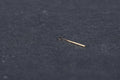 Super Elastic NITINOL Vario Piston type Loop