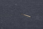 Super Elastic NITINOL Vario Piston type Loop